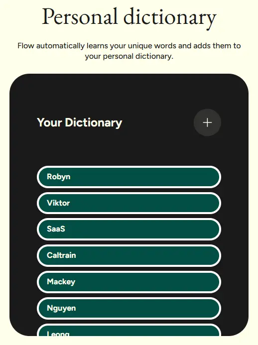 Wispr Flow Personal Dictionary Interface showing custom terminology management