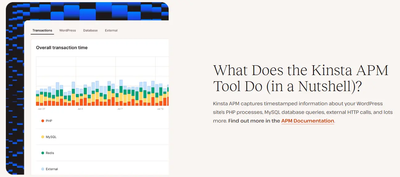 Kinsta Application Performance Monitoring dashboard showing real-time site performance metrics and optimization tools